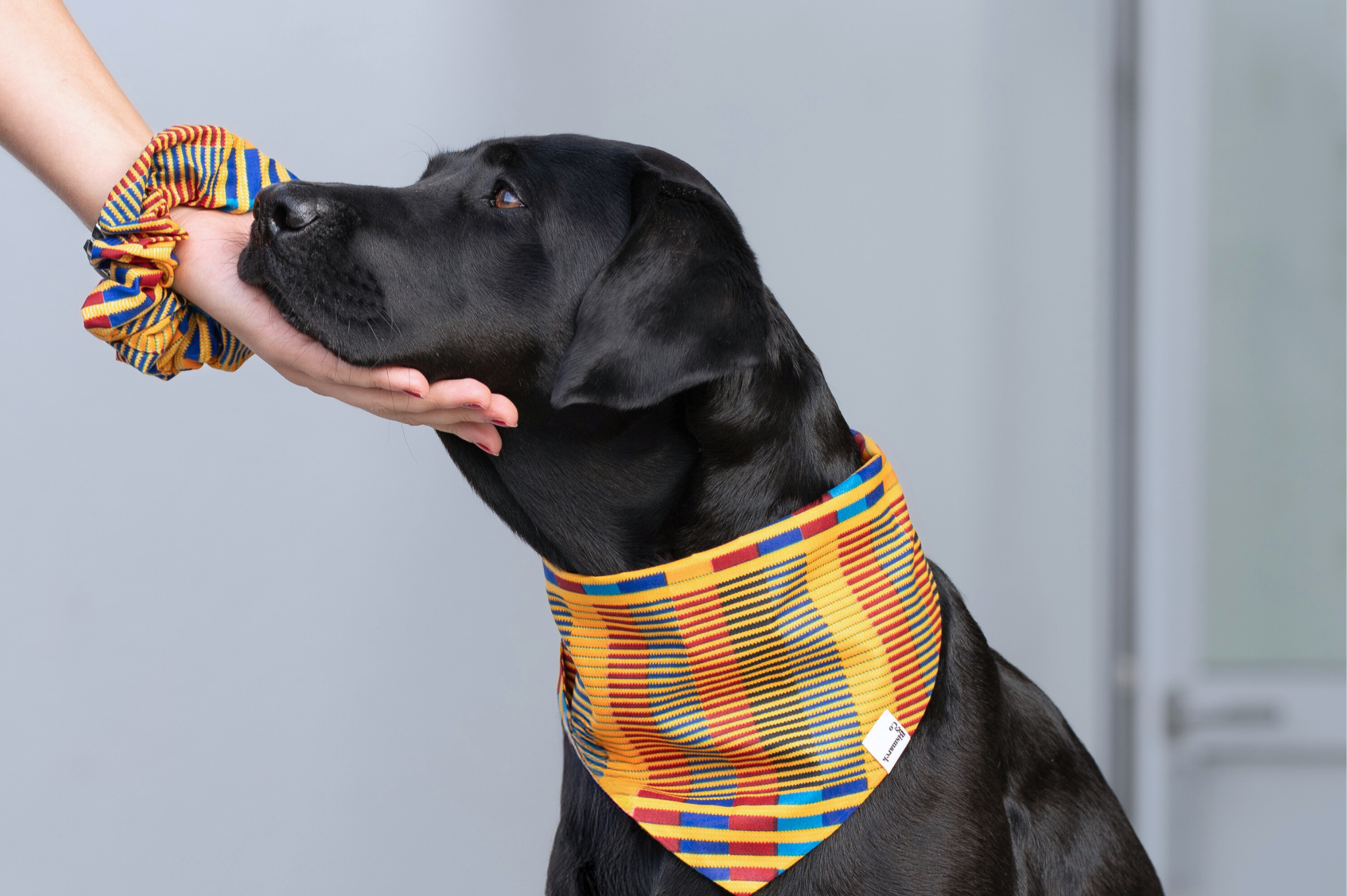 Bandana & Scrunchie Set in African Sun