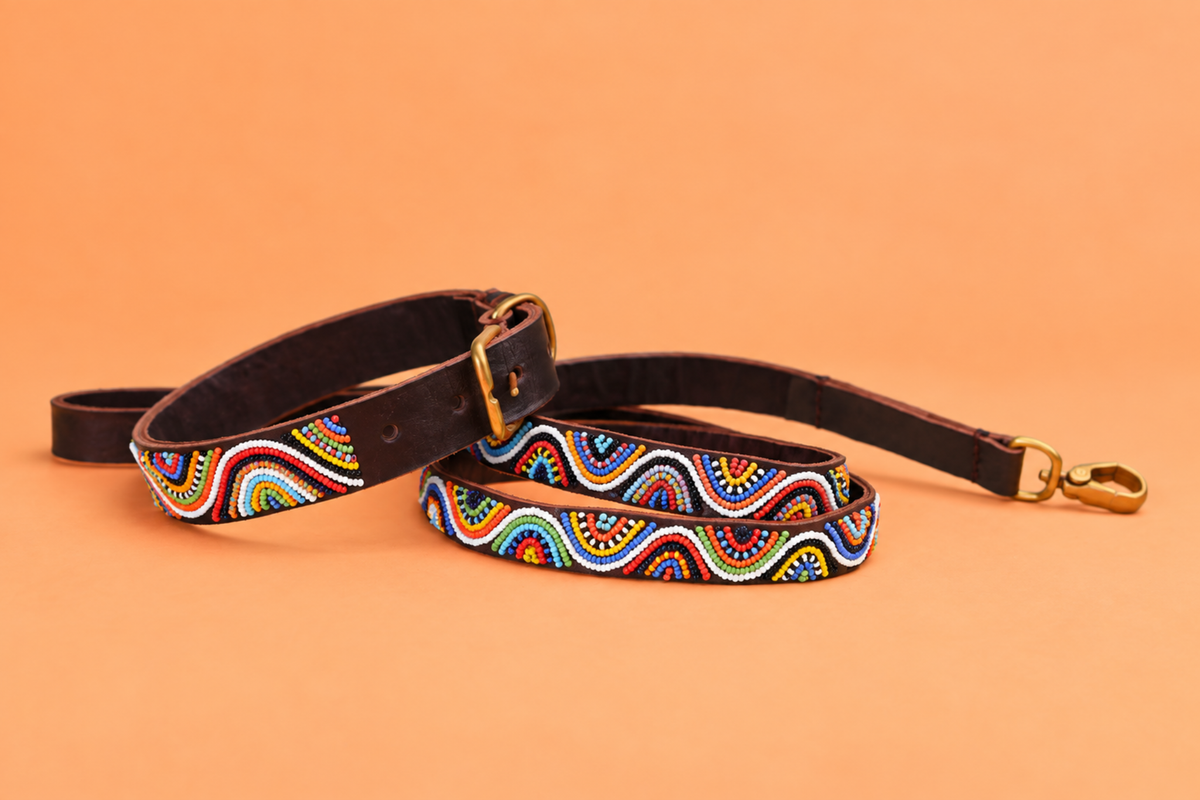 Beaded Leash | Rainbow Wave
