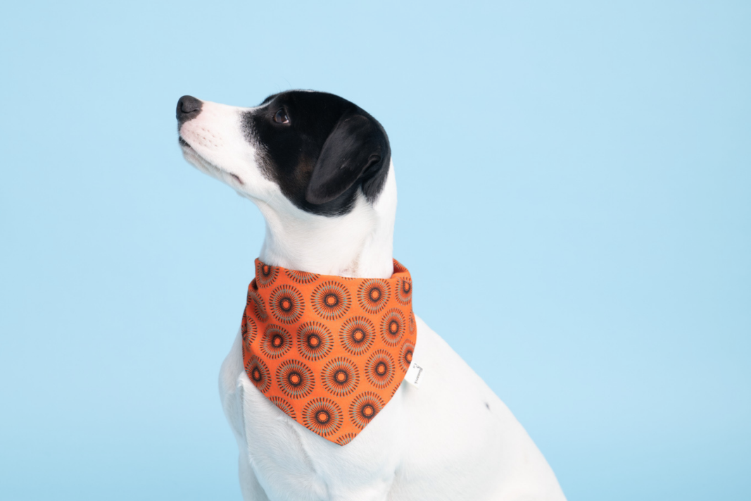 Bandana in Orange Shweshwe