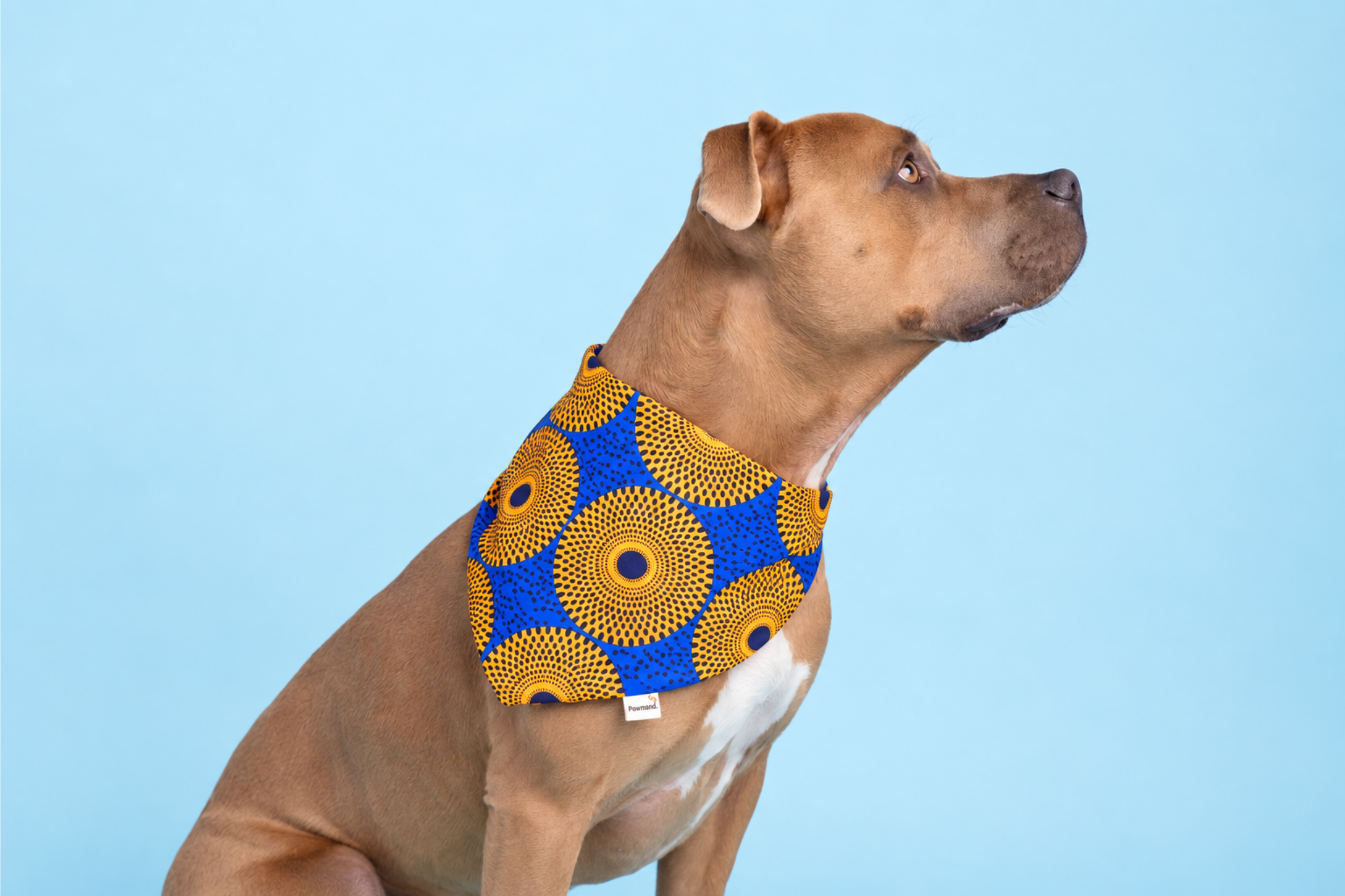 Bandana in Sunrise Shweshwe