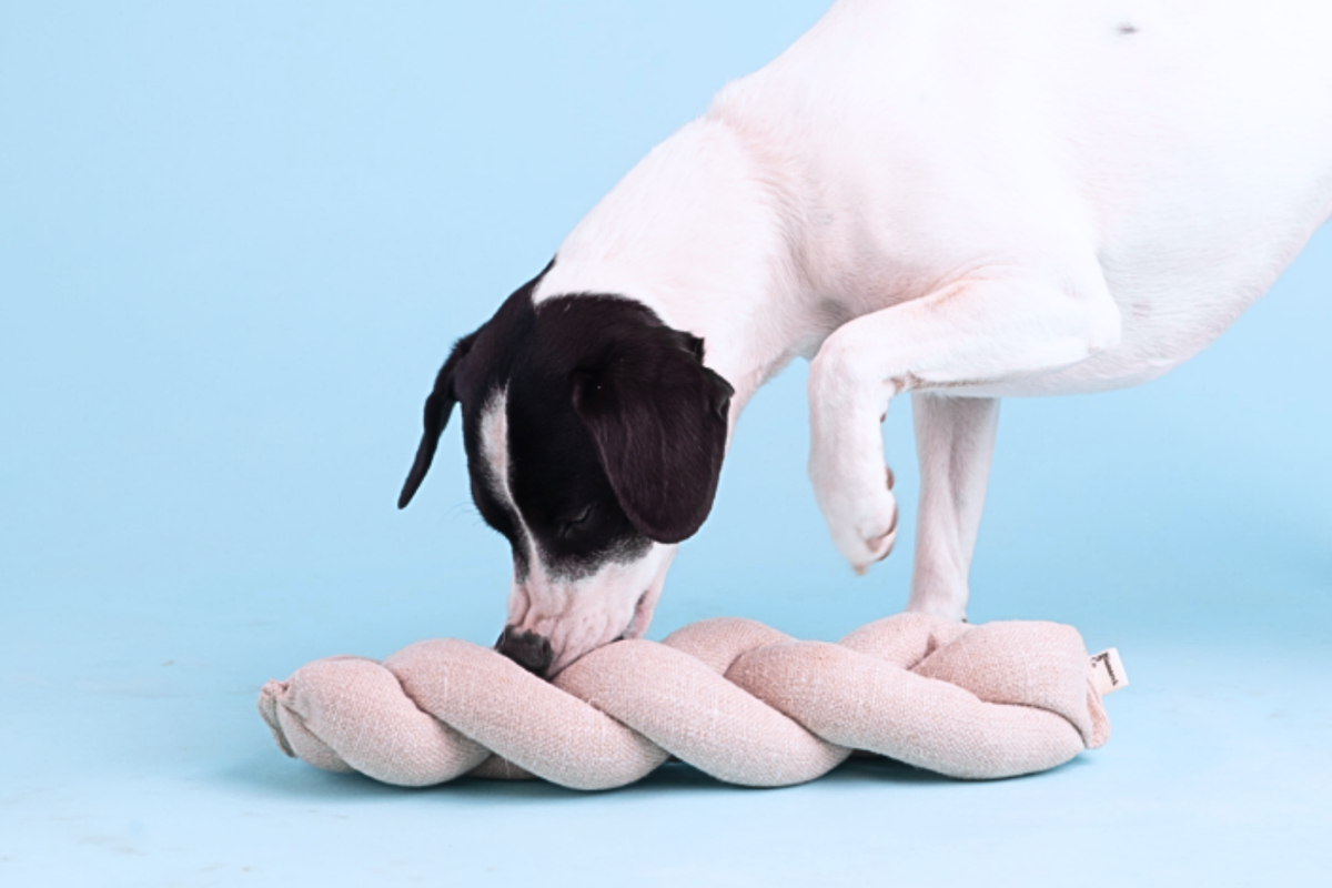 Snuffle Toy | Koeksister