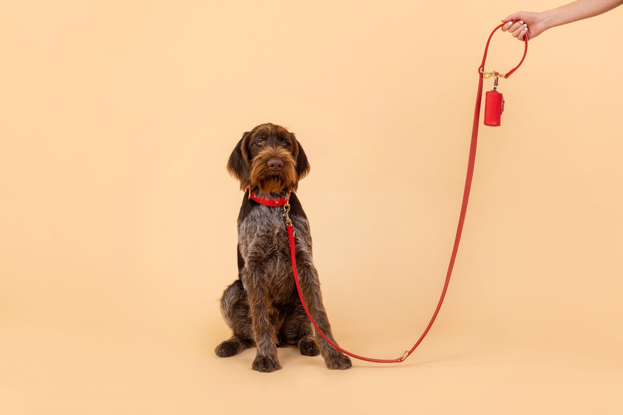 Apple Leather Poop Bag in Festive Red