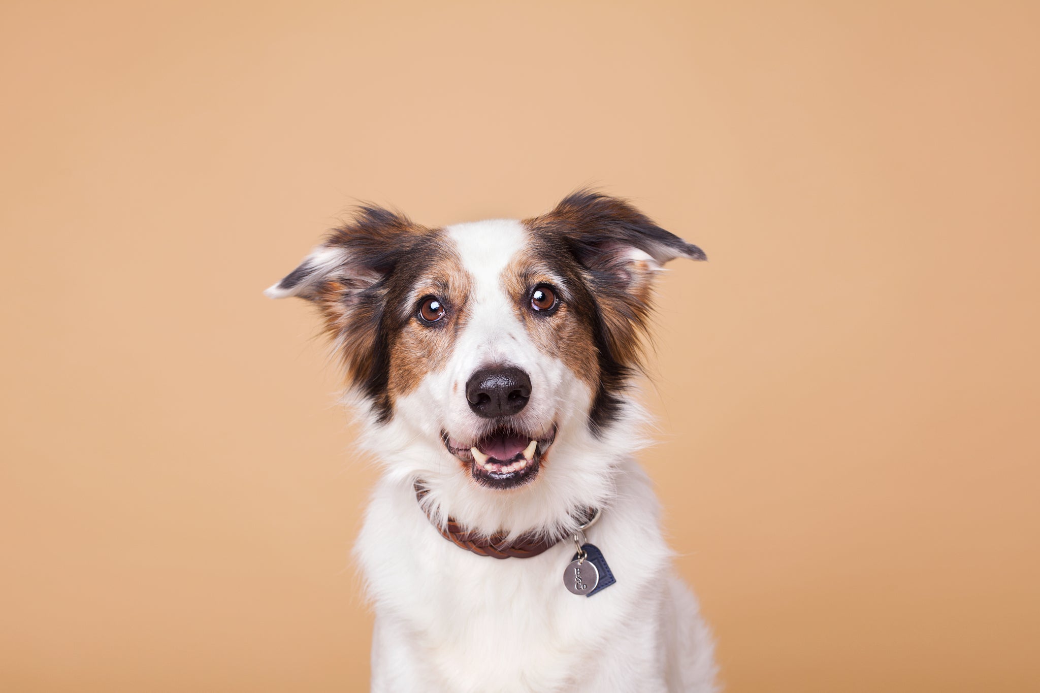 Plaited Leather Collar in Cognac