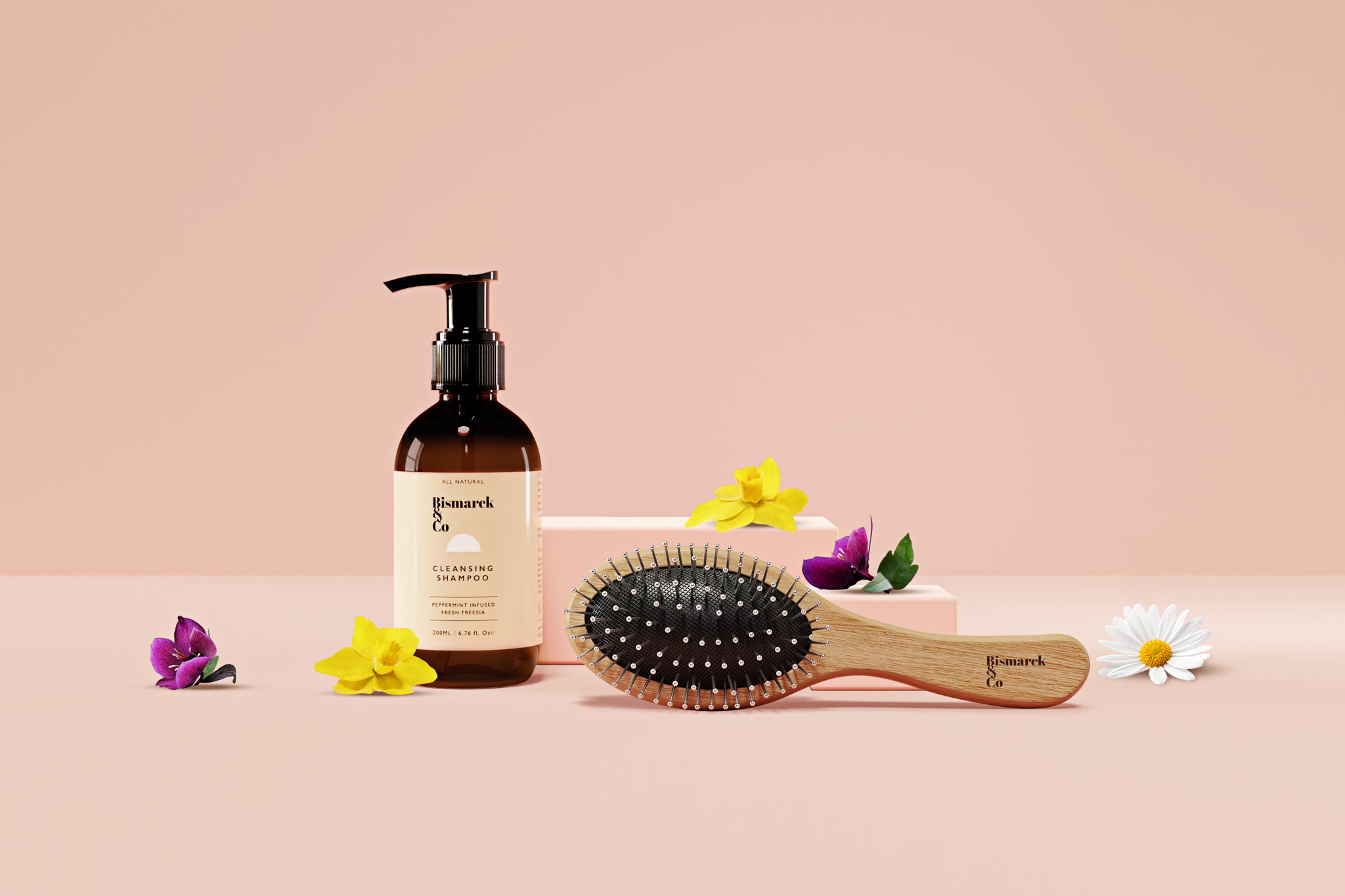 Clean Coats Grooming Box