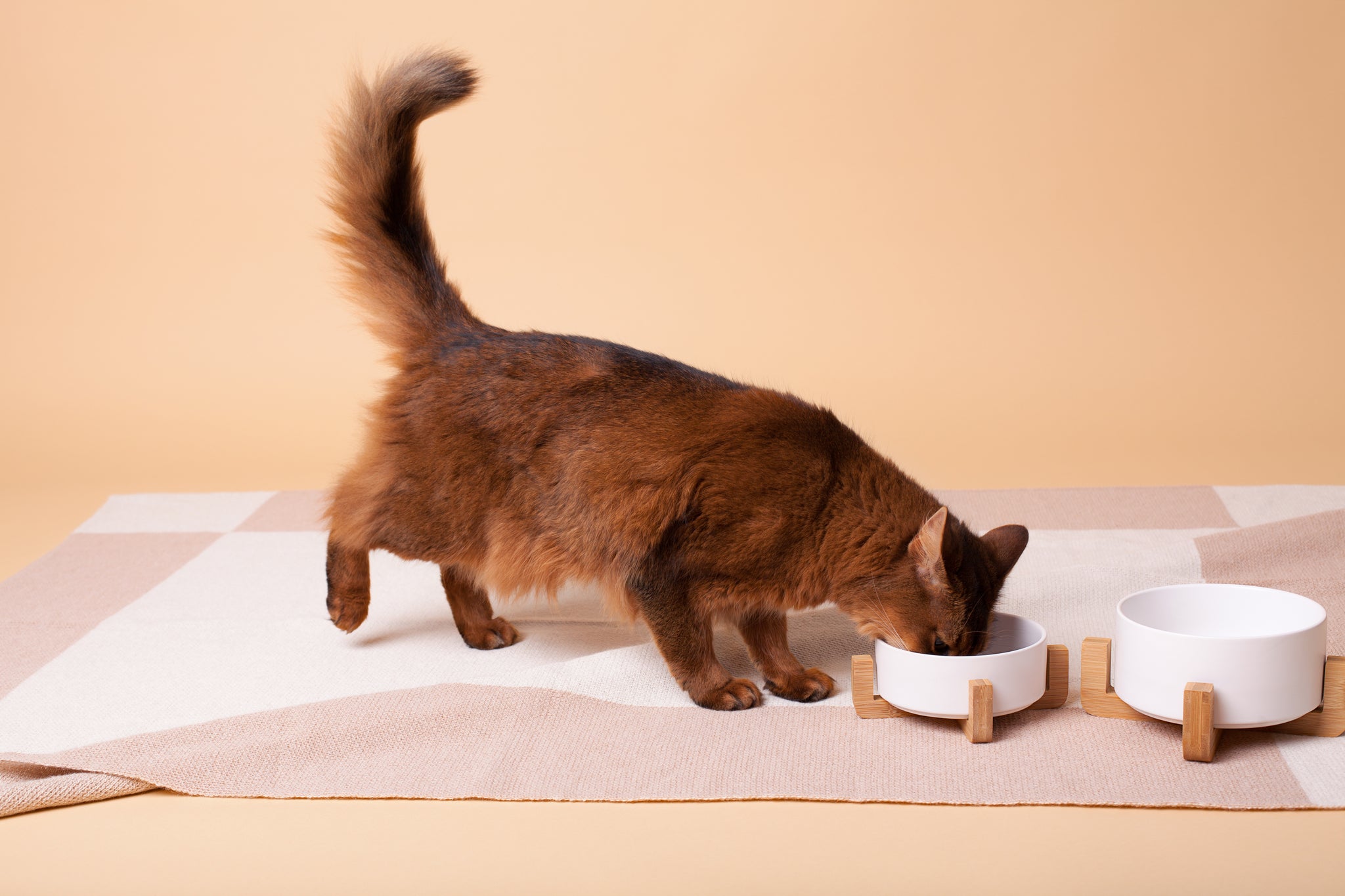 Ceramic Bowls with Wooden Stands