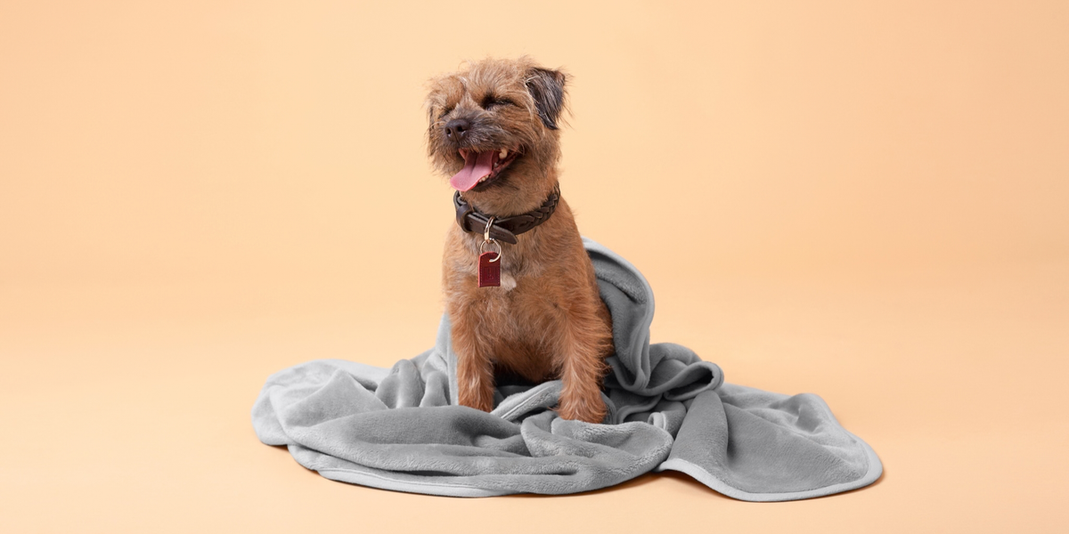 Fleece Blankets