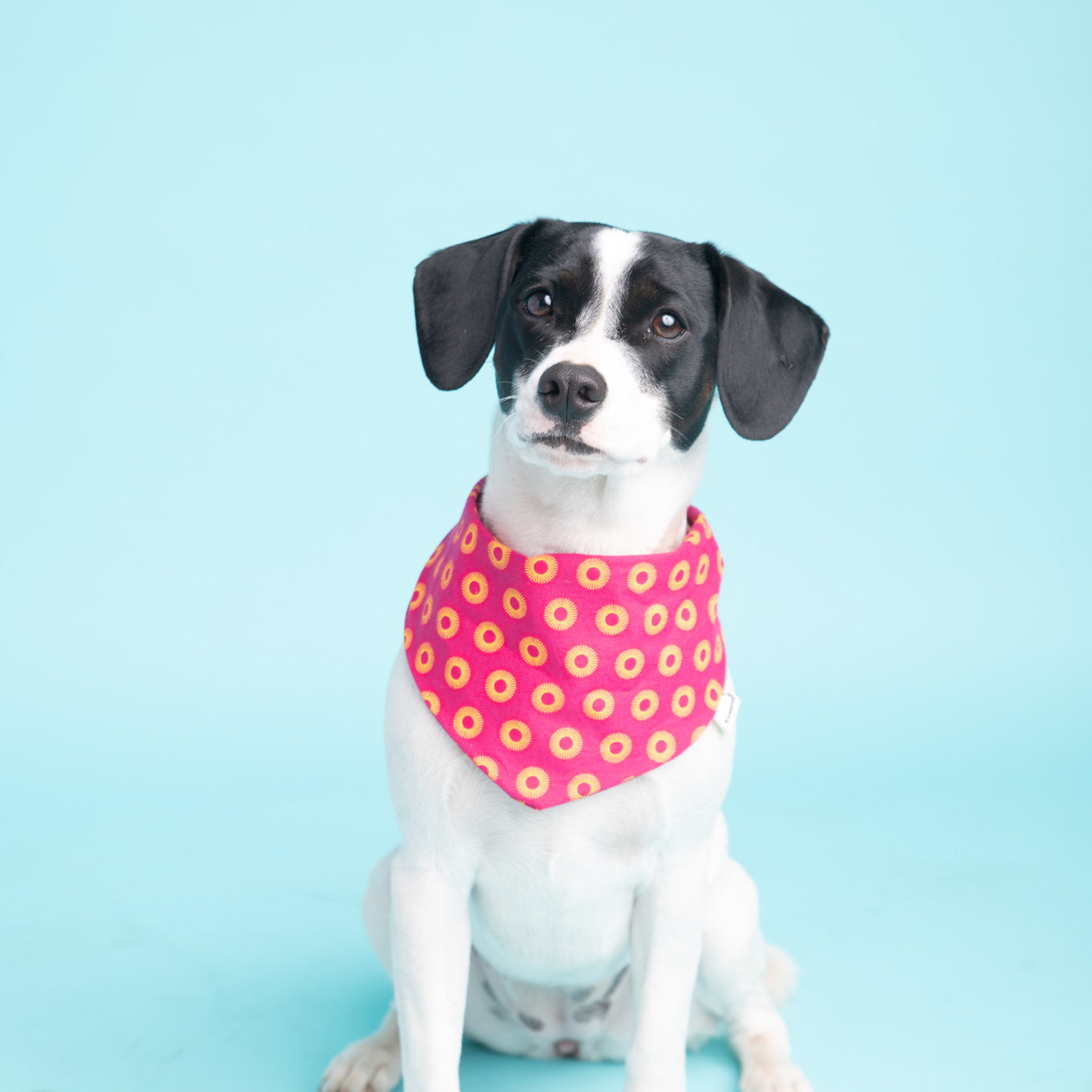 Bandana in Pink Shweshwe