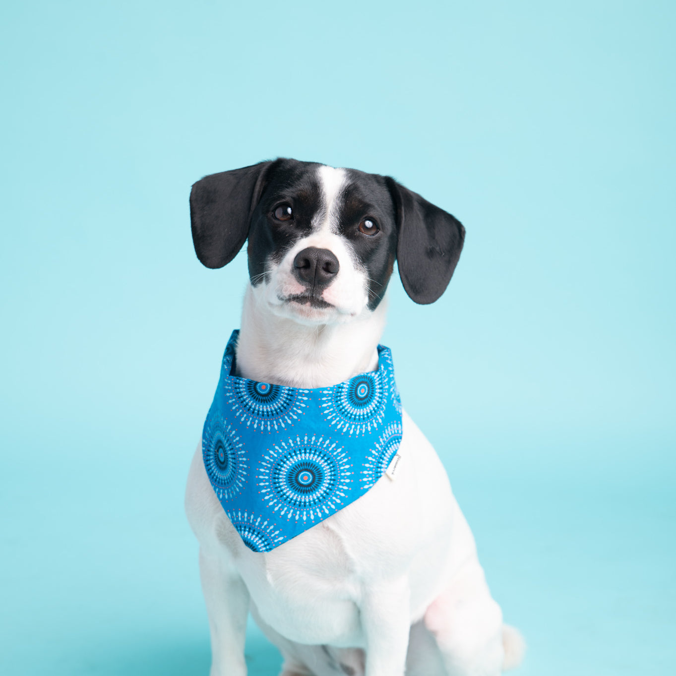 Bandana in Blue Shweshwe