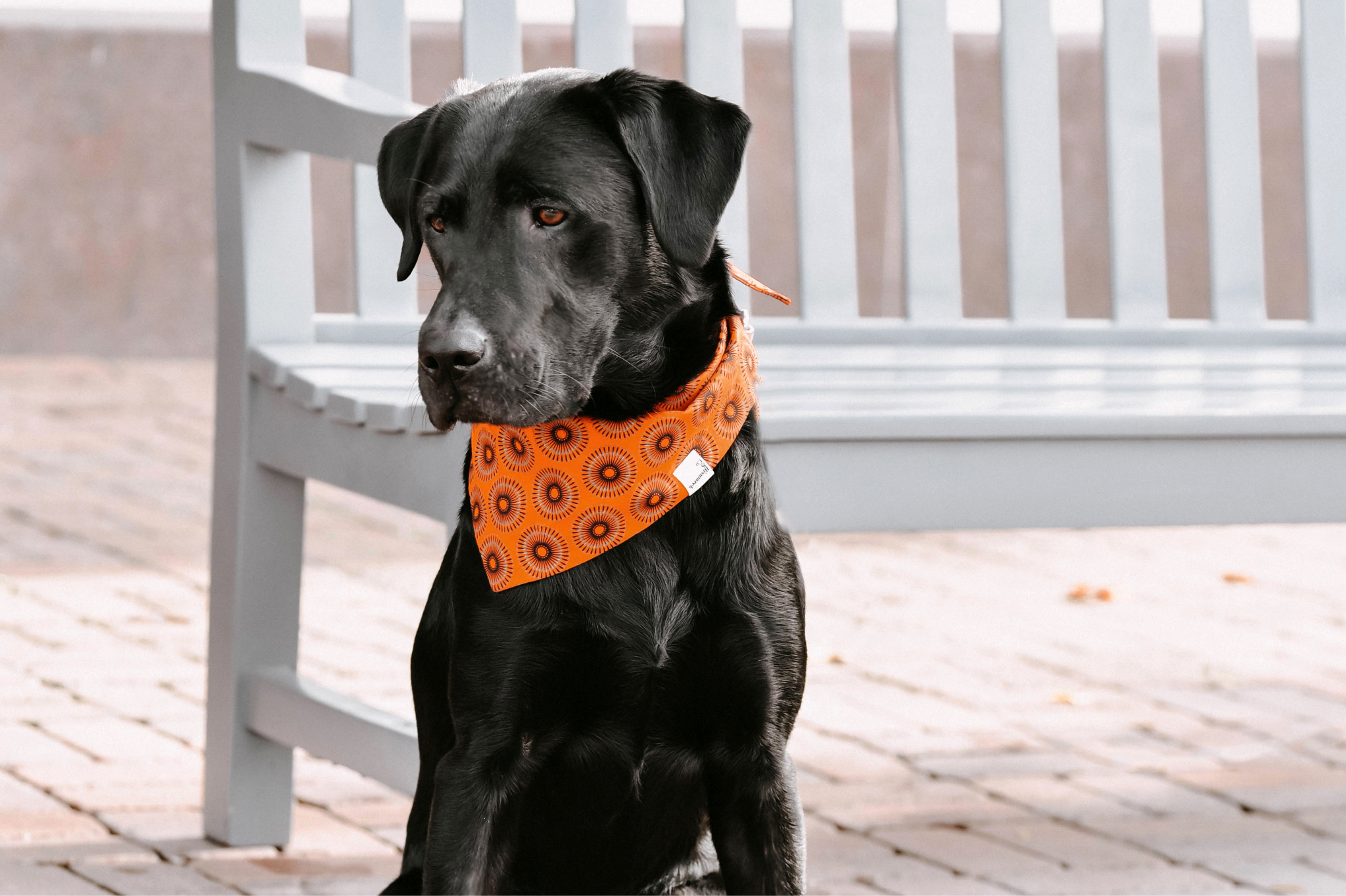 Bandana in Orange Shweshwe