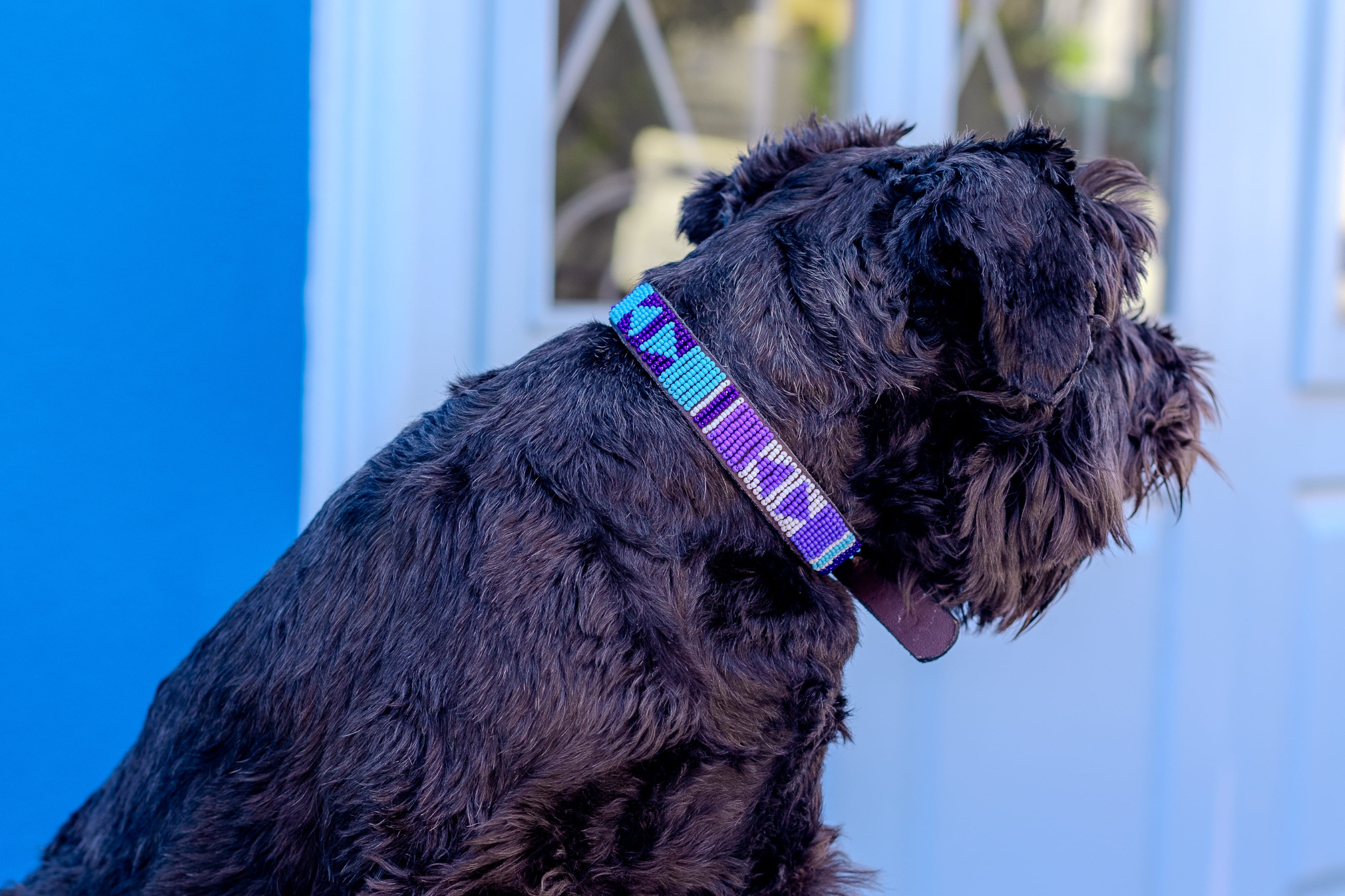 Beaded Collar | Blue Ocean