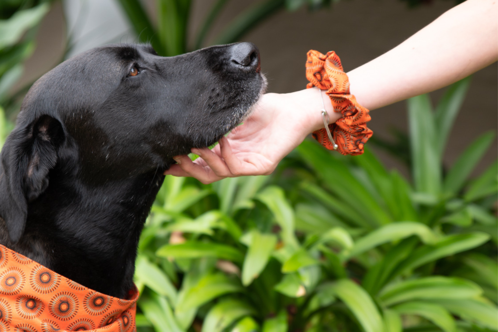 Bandana & Scrunchie Set in Orange