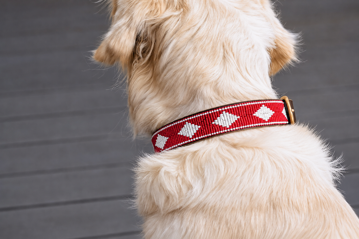 Beaded Collar | Red & White