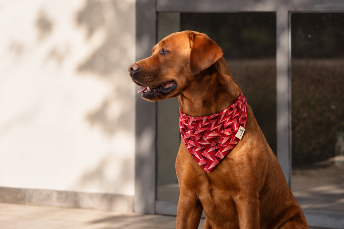 Bandana in Red Pine