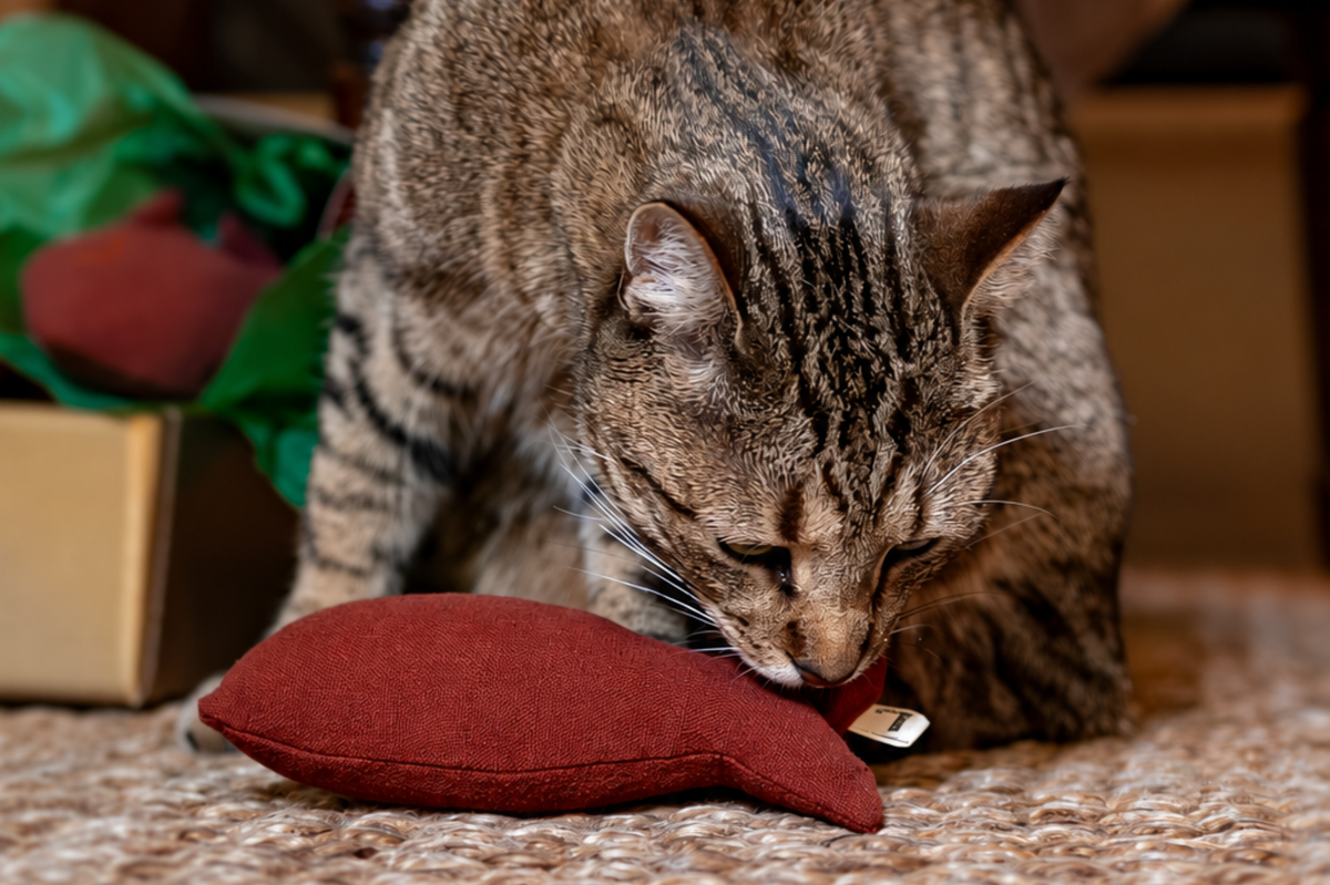 Christmas Carp Toy with Catnip