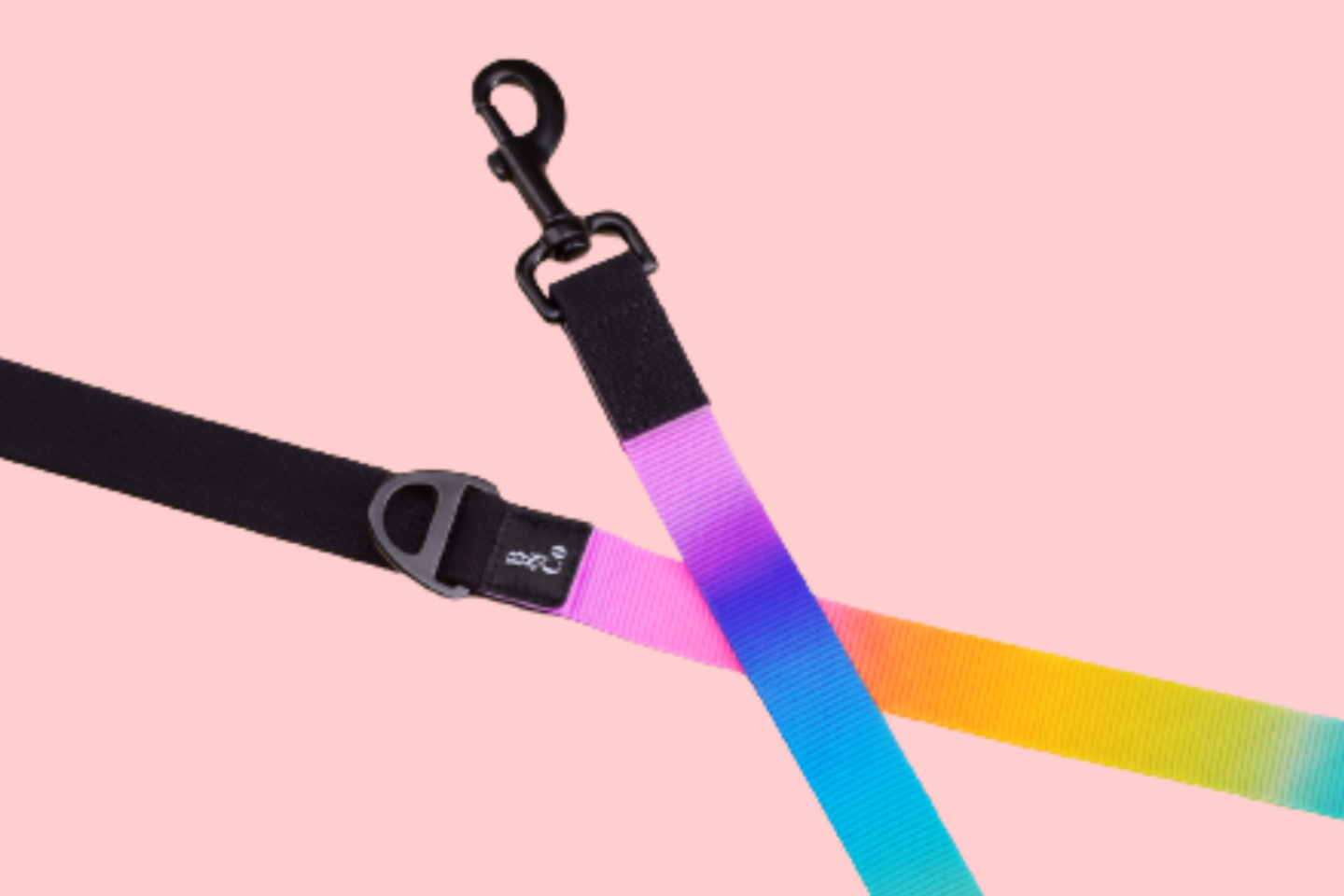 Pride Dog Leash