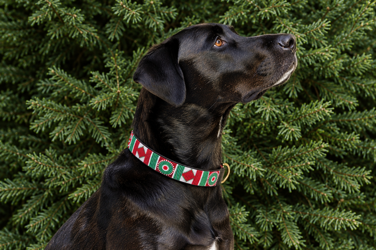 Beaded Collar | Red, White & Green