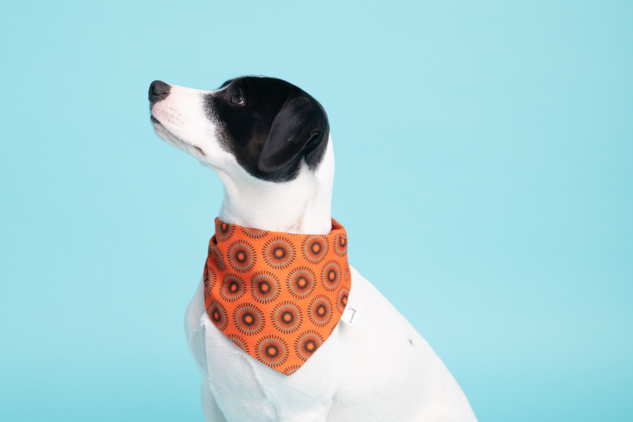 Bandana in Orange Shweshwe