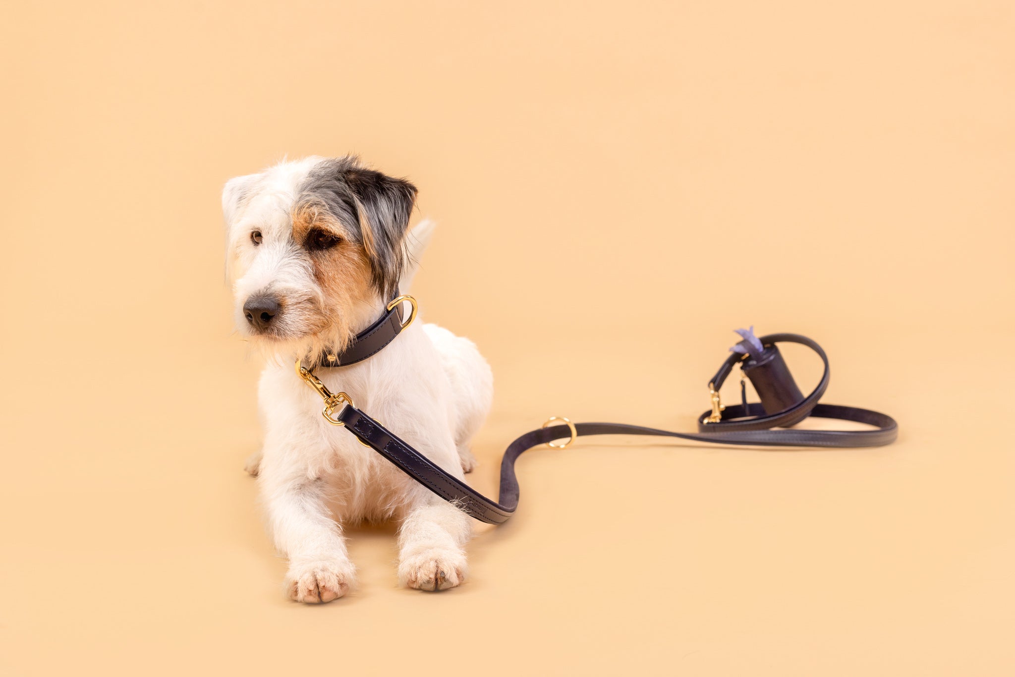 Apple Leather Leash in Royal Blue